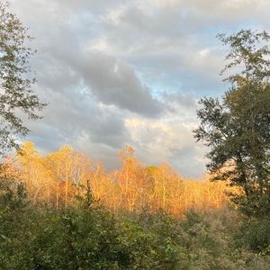 Meet your Posher, Eva